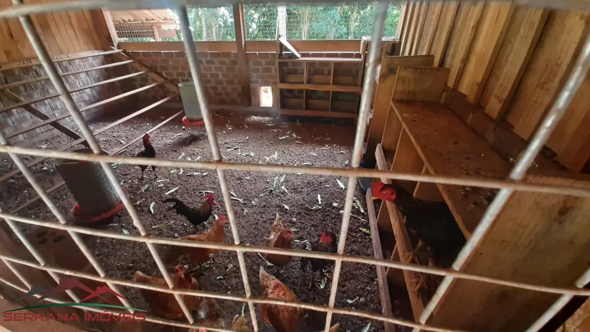 Foto 4 de Chácara com 3 quartos à venda, 100m2 em Nova Petropolis - RS