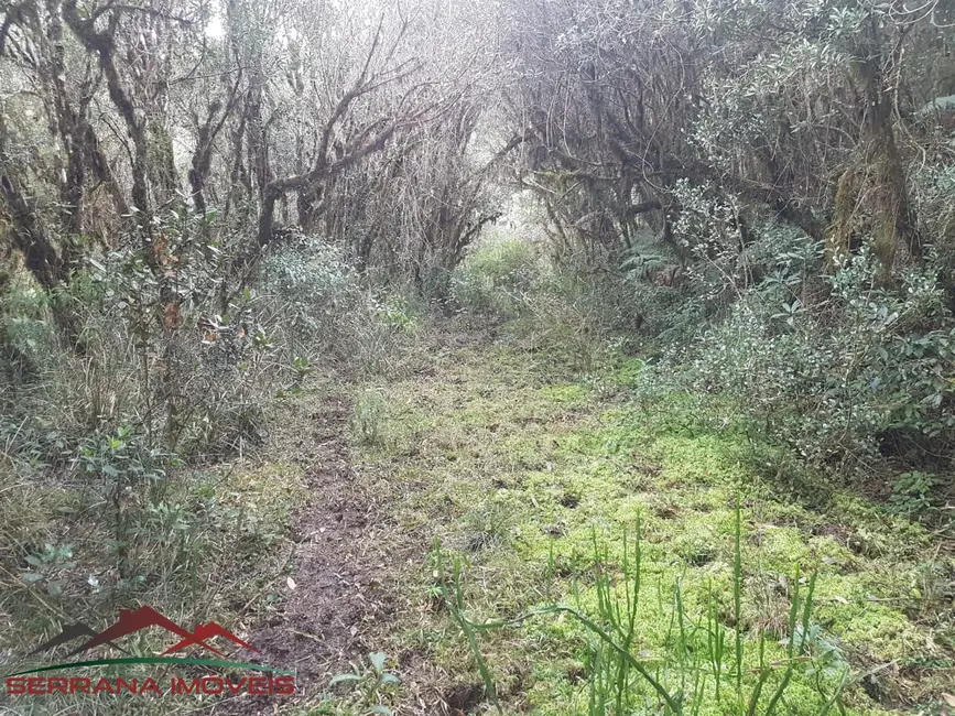 Foto 6 de Sítio / Rancho com 2 quartos à venda, 200000m2 em Cambara Do Sul - RS