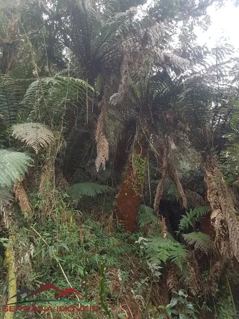 Foto 3 de Sítio / Rancho com 2 quartos à venda, 200000m2 em Cambara Do Sul - RS