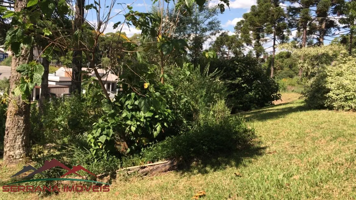 Foto 2 de Terreno / Lote à venda, 565m2 em Nova Petropolis - RS