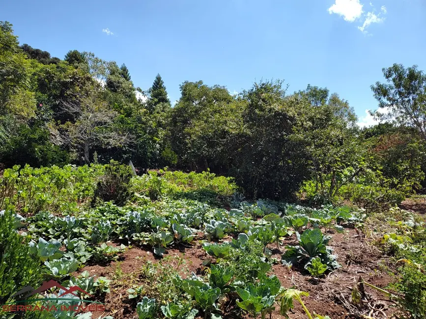 Terreno / Lote à venda, 1845m2 em Nova Petropolis - RS - imagem 2 Foto 2 de Terreno / Lote à venda, 1845m2 em Nova Petropolis - RS