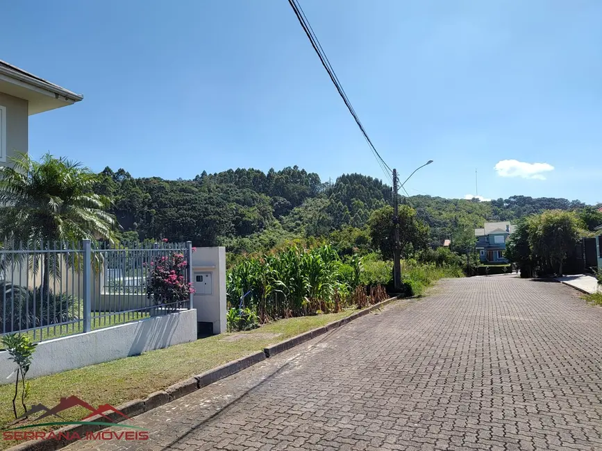 Foto 3 de Casa com 3 quartos à venda, 259m2 em Nova Petropolis - RS
