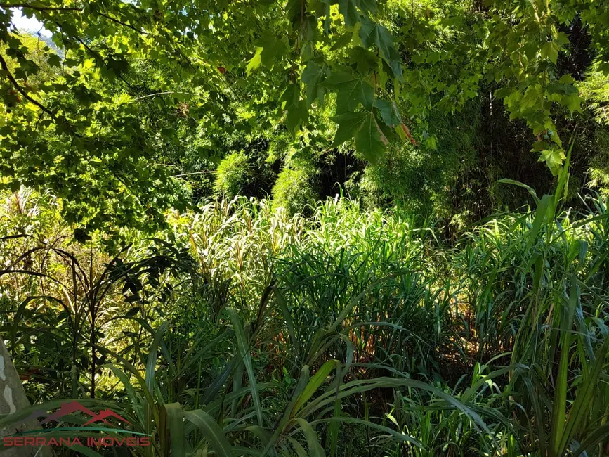 Terreno / Lote à venda, 6790m2 em Centro, Picada Cafe - RS - imagem 9 Foto 9 de Terreno / Lote à venda, 6790m2 em Centro, Picada Cafe - RS