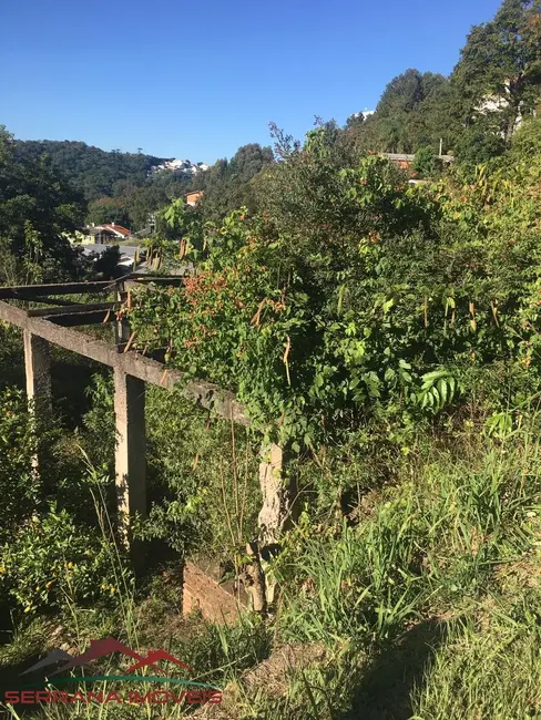 Terreno / Lote à venda, 440m2 em Santa Corona, Caxias Do Sul - RS - imagem 8 Foto 8 de Terreno / Lote à venda, 440m2 em Santa Corona, Caxias Do Sul - RS