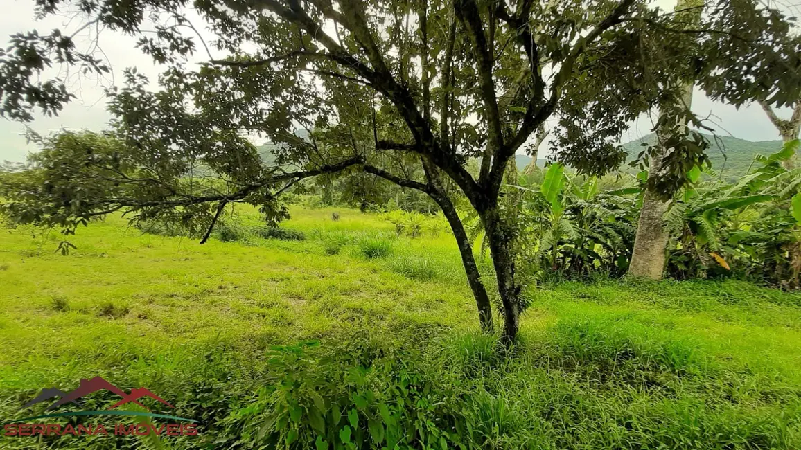 Terreno / Lote à venda, 560m2 em Picada Cafe - RS - imagem 3 Foto 3 de Terreno / Lote à venda, 560m2 em Picada Cafe - RS