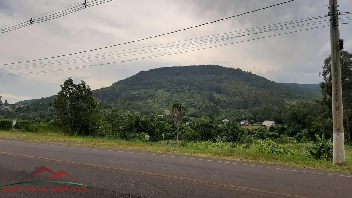 Terreno / Lote à venda, 560m2 em Picada Cafe - RS - imagem 4 Foto 4 de Terreno / Lote à venda, 560m2 em Picada Cafe - RS