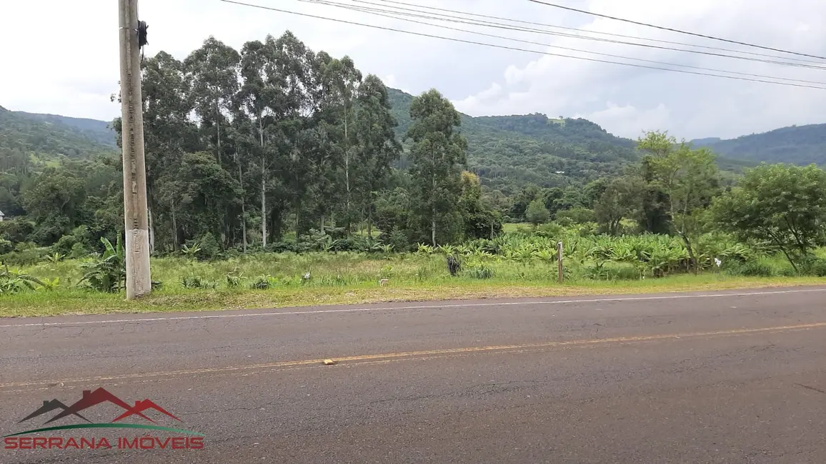 Terreno / Lote à venda, 560m2 em Picada Cafe - RS - imagem 2 Foto 2 de Terreno / Lote à venda, 560m2 em Picada Cafe - RS