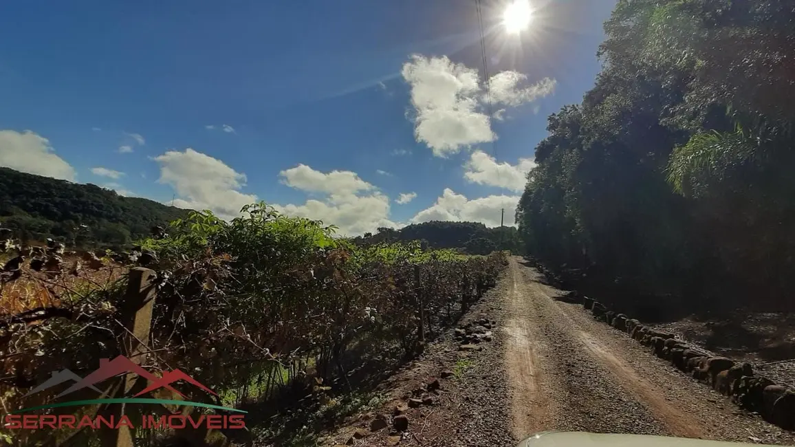 Chácara com 3 quartos à venda, 150m2 em Nova Petropolis - RS - imagem 8 Foto 8 de Chácara com 3 quartos à venda, 150m2 em Nova Petropolis - RS
