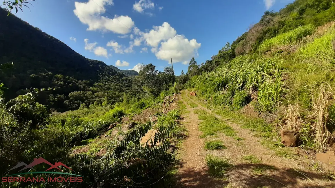 Foto 6 de Terreno / Lote à venda, 120000m2 em Nova Petropolis - RS