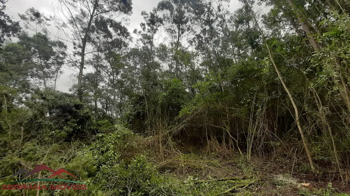 Terreno / Lote à venda, 20000m2 em Nova Petropolis - RS - imagem 5 Foto 5 de Terreno / Lote à venda, 20000m2 em Nova Petropolis - RS