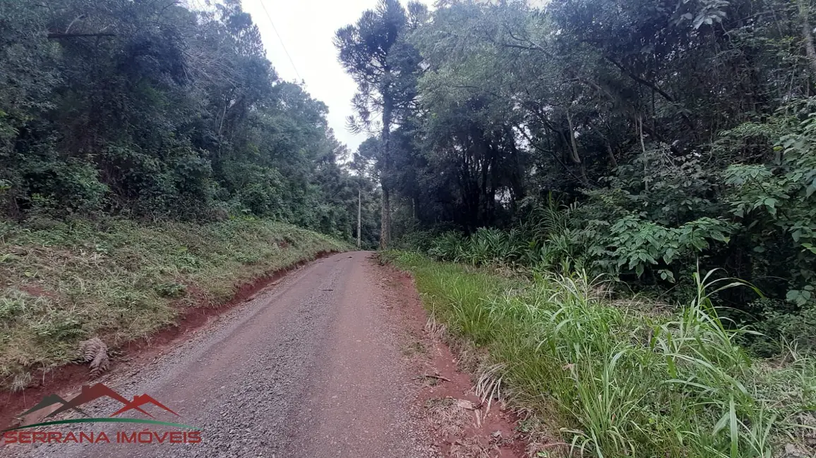 Terreno / Lote à venda, 20000m2 em Nova Petropolis - RS - imagem 4 Foto 4 de Terreno / Lote à venda, 20000m2 em Nova Petropolis - RS