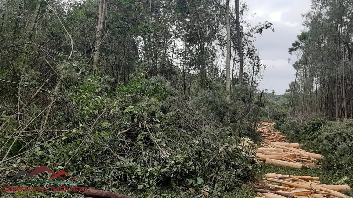 Terreno / Lote à venda, 20000m2 em Nova Petropolis - RS - imagem 8 Foto 8 de Terreno / Lote à venda, 20000m2 em Nova Petropolis - RS