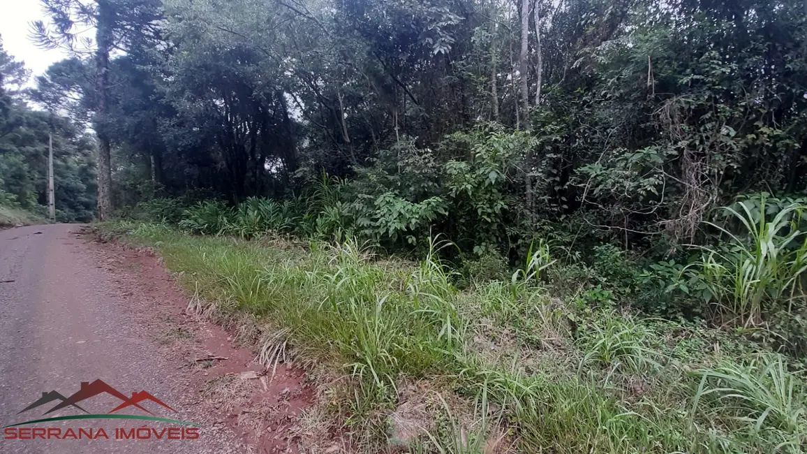 Terreno / Lote à venda, 20000m2 em Nova Petropolis - RS - imagem 9 Foto 9 de Terreno / Lote à venda, 20000m2 em Nova Petropolis - RS