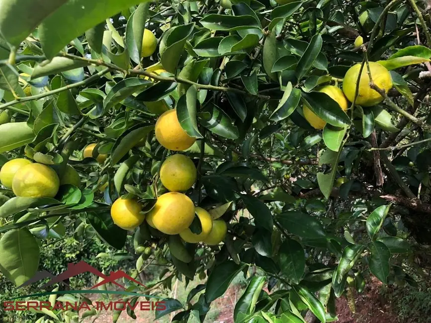 Chácara com 2 quartos à venda, 140m2 em Nova Petropolis - RS - imagem 8 Foto 8 de Chácara com 2 quartos à venda, 140m2 em Nova Petropolis - RS