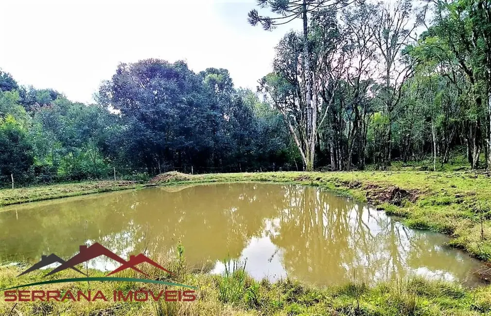 Terreno / Lote à venda em Nova Petropolis - RS - imagem 2 Foto 2 de Terreno / Lote à venda em Nova Petropolis - RS
