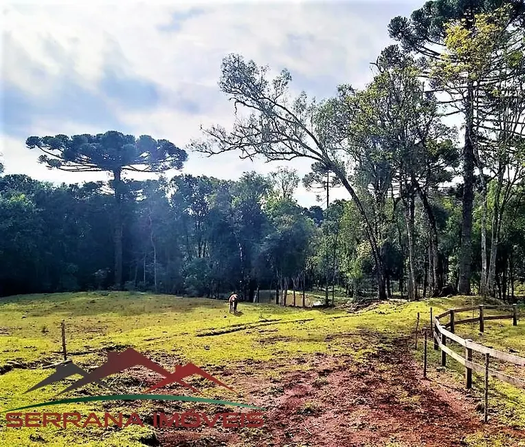 Foto 1 de Terreno / Lote à venda em Nova Petropolis - RS