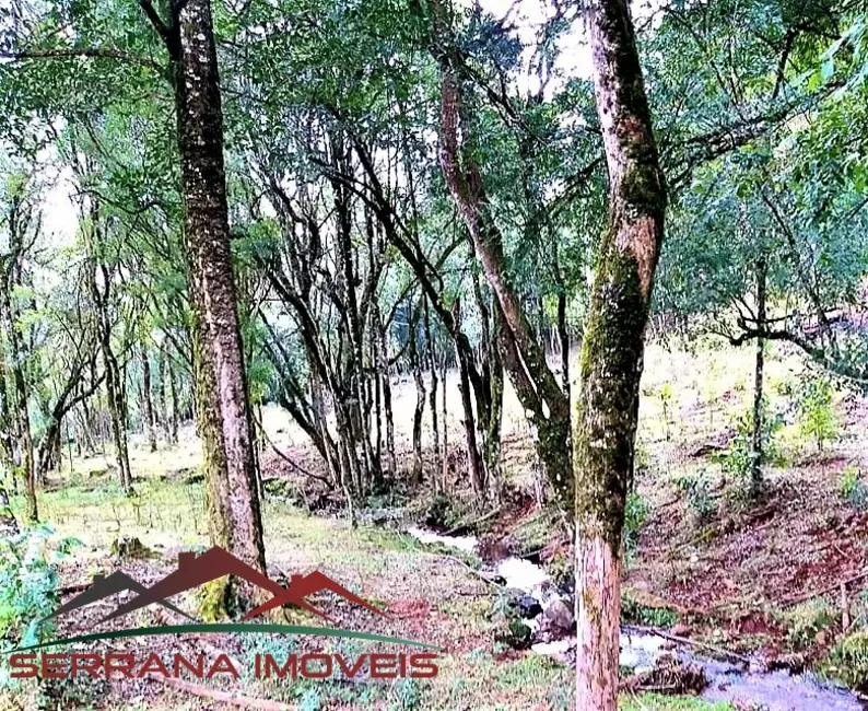 Terreno / Lote à venda em Nova Petropolis - RS - imagem 3 Foto 3 de Terreno / Lote à venda em Nova Petropolis - RS