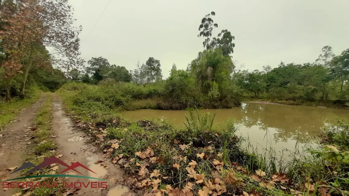 Chácara com 2 quartos à venda, 50000m2 em Nova Petropolis - RS - imagem 4 Foto 4 de Chácara com 2 quartos à venda, 50000m2 em Nova Petropolis - RS