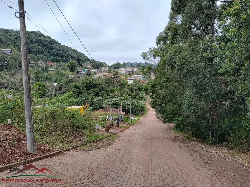 Terreno / Lote à venda, 399m2 em Nova Petropolis - RS - imagem 8 Foto 8 de Terreno / Lote à venda, 399m2 em Nova Petropolis - RS