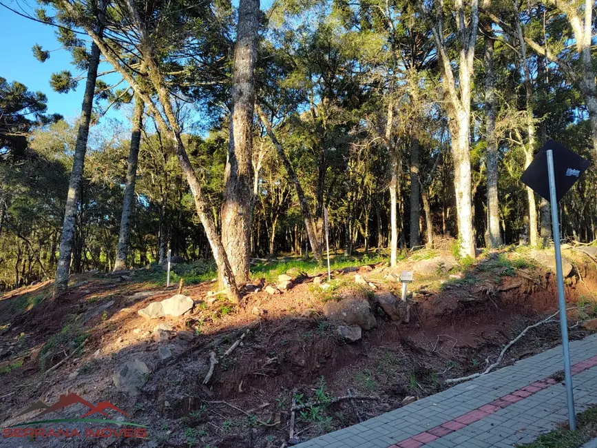 Terreno / Lote à venda, 440m2 em Nova Petropolis - RS - imagem 7 Foto 7 de Terreno / Lote à venda, 440m2 em Nova Petropolis - RS