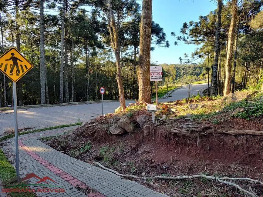 Terreno / Lote à venda, 440m2 em Nova Petropolis - RS - imagem 3 Foto 3 de Terreno / Lote à venda, 440m2 em Nova Petropolis - RS