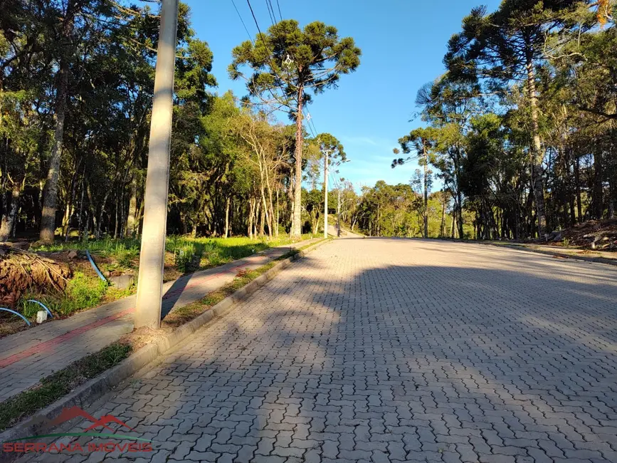 Terreno / Lote à venda, 440m2 em Nova Petropolis - RS - imagem 2 Foto 2 de Terreno / Lote à venda, 440m2 em Nova Petropolis - RS