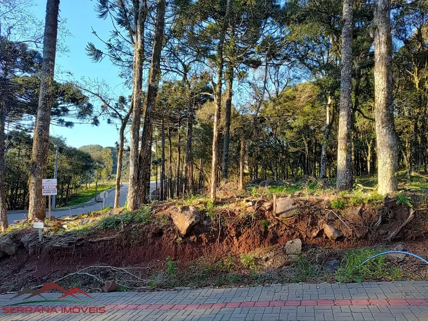 Terreno / Lote à venda, 440m2 em Nova Petropolis - RS - imagem 8 Foto 8 de Terreno / Lote à venda, 440m2 em Nova Petropolis - RS