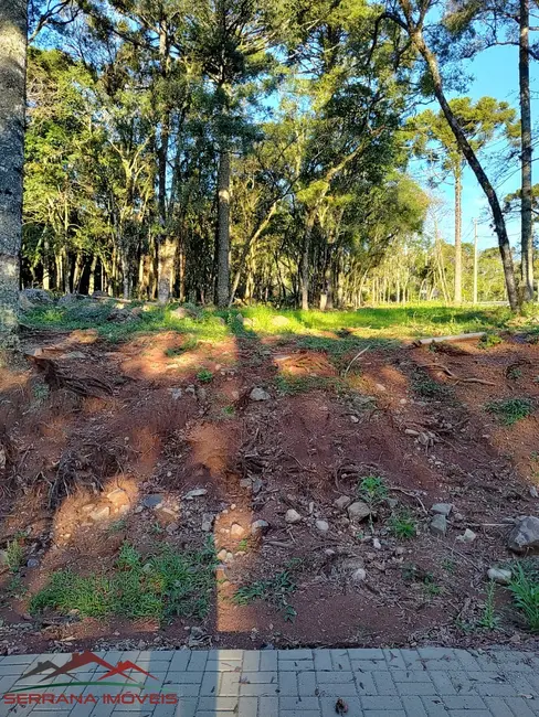 Terreno / Lote à venda, 440m2 em Nova Petropolis - RS - imagem 6 Foto 6 de Terreno / Lote à venda, 440m2 em Nova Petropolis - RS