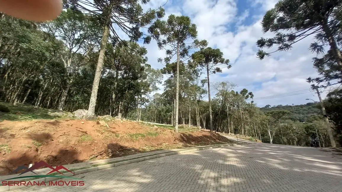 Terreno / Lote à venda, 440m2 em Nova Petropolis - RS - imagem 9 Foto 9 de Terreno / Lote à venda, 440m2 em Nova Petropolis - RS