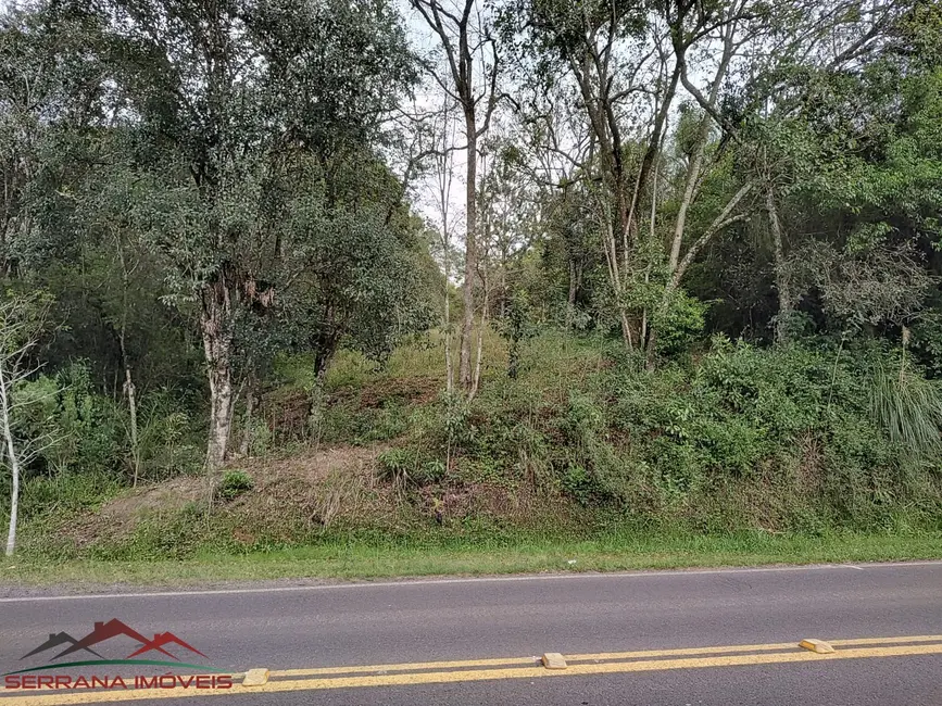 Terreno / Lote à venda, 2013m2 em Centro, Picada Cafe - RS - imagem 6 Foto 6 de Terreno / Lote à venda, 2013m2 em Centro, Picada Cafe - RS