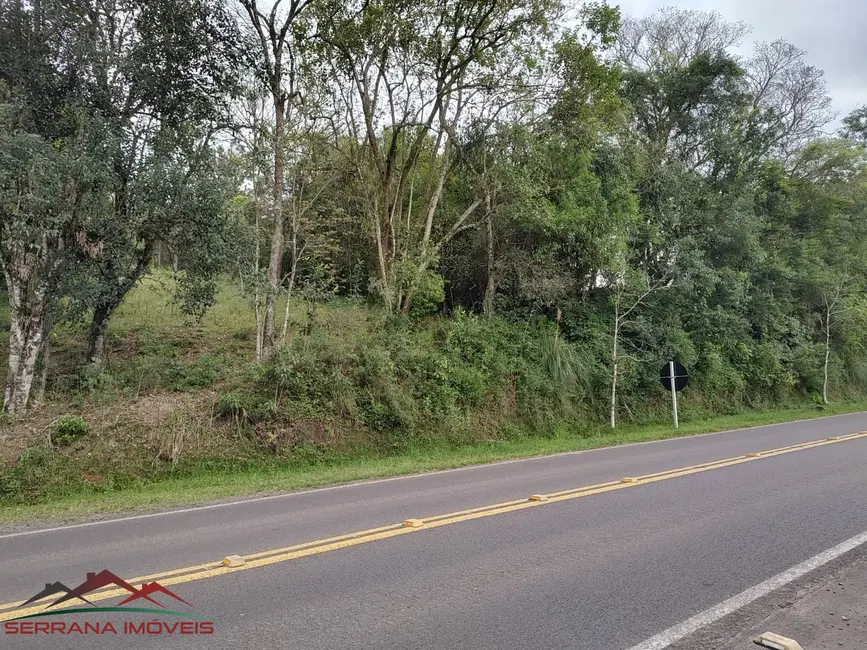 Terreno / Lote à venda, 2013m2 em Centro, Picada Cafe - RS - imagem 1 Foto 1 de Terreno / Lote à venda, 2013m2 em Centro, Picada Cafe - RS