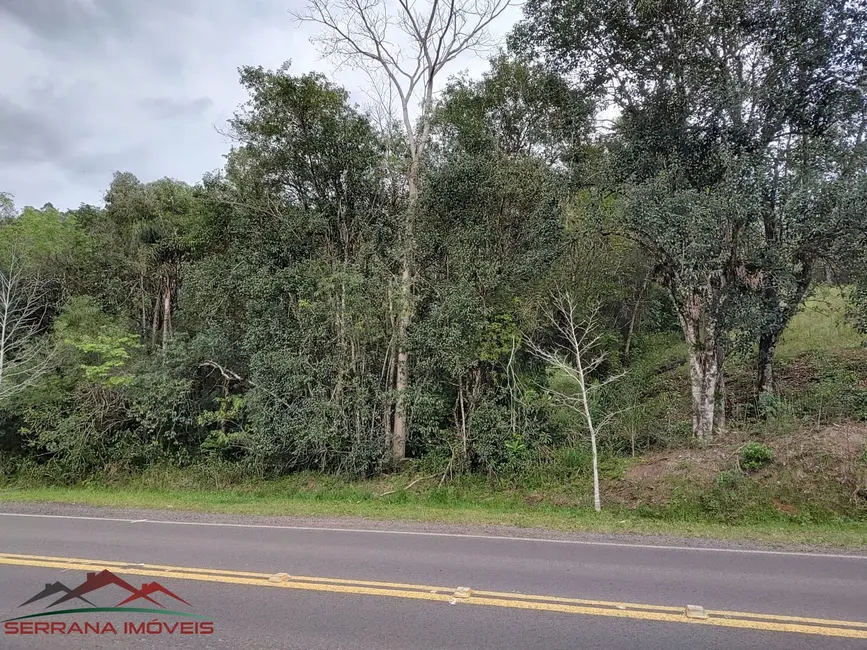 Terreno / Lote à venda, 2013m2 em Centro, Picada Cafe - RS - imagem 7 Foto 7 de Terreno / Lote à venda, 2013m2 em Centro, Picada Cafe - RS