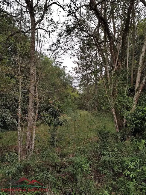 Terreno / Lote à venda, 2013m2 em Centro, Picada Cafe - RS - imagem 3 Foto 3 de Terreno / Lote à venda, 2013m2 em Centro, Picada Cafe - RS