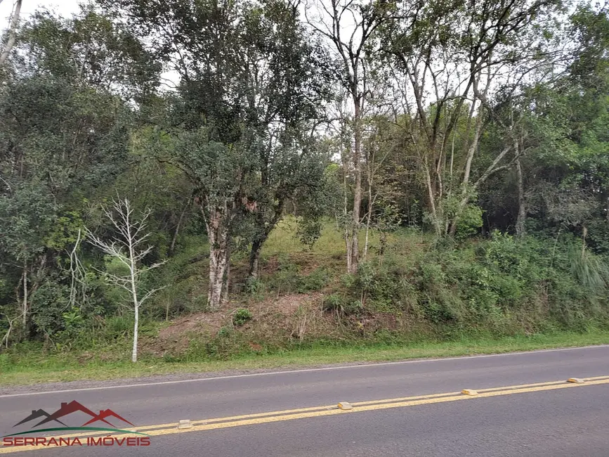 Terreno / Lote à venda, 2013m2 em Centro, Picada Cafe - RS - imagem 2 Foto 2 de Terreno / Lote à venda, 2013m2 em Centro, Picada Cafe - RS