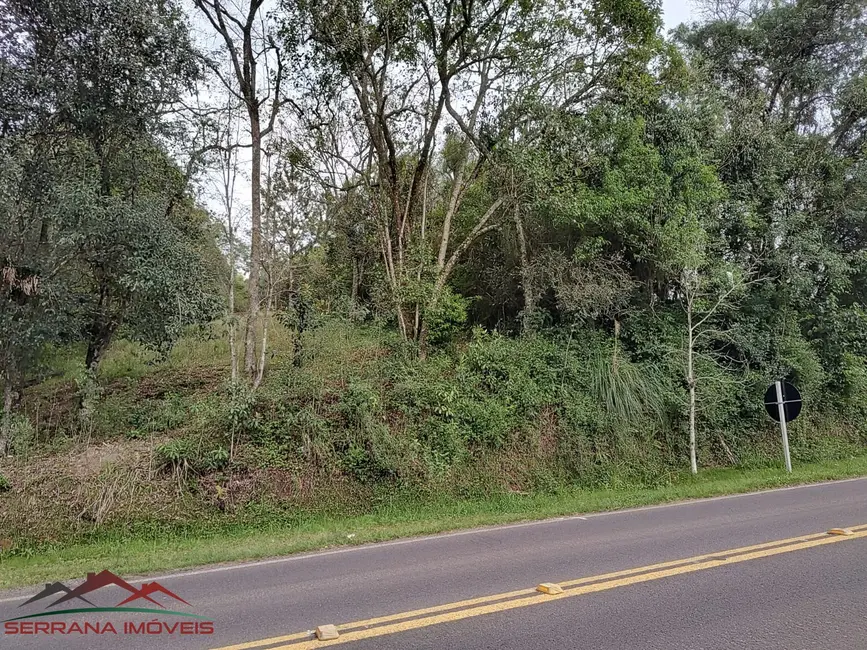 Terreno / Lote à venda, 2013m2 em Centro, Picada Cafe - RS - imagem 4 Foto 4 de Terreno / Lote à venda, 2013m2 em Centro, Picada Cafe - RS