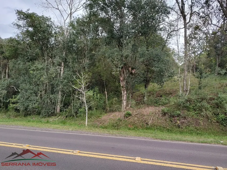 Terreno / Lote à venda, 2013m2 em Centro, Picada Cafe - RS - imagem 5 Foto 5 de Terreno / Lote à venda, 2013m2 em Centro, Picada Cafe - RS