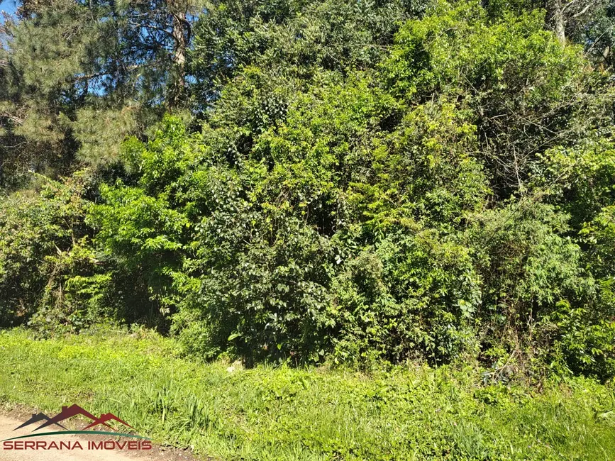 Foto 2 de Terreno / Lote à venda, 723m2 em Nova Petropolis - RS