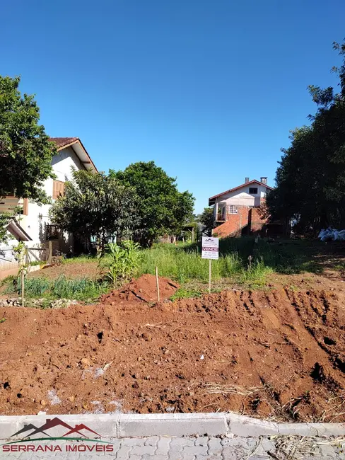 Foto 1 de Terreno / Lote à venda, 700m2 em Nova Petropolis - RS
