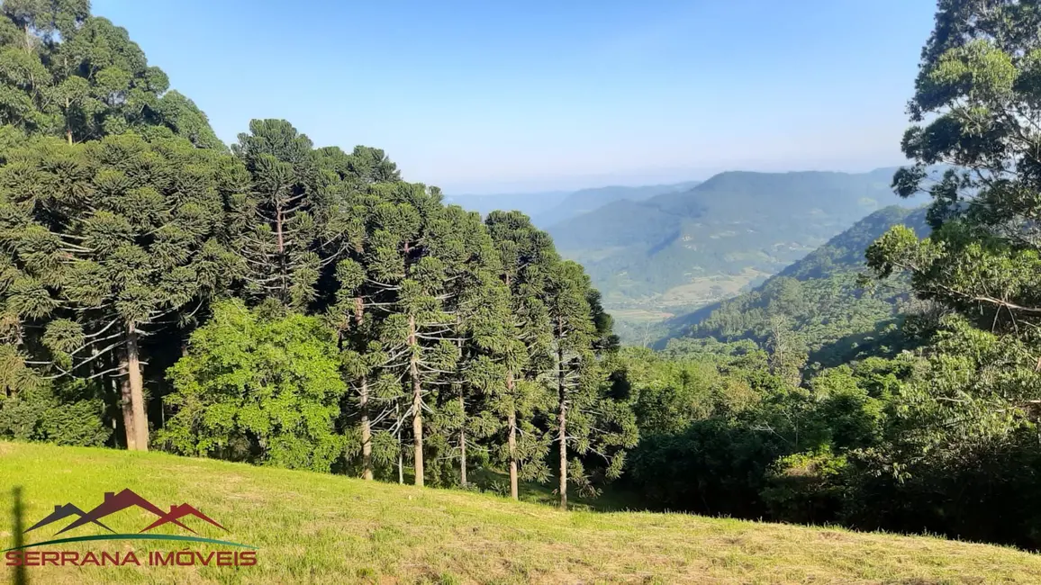 Foto 1 de Terreno / Lote à venda, 785m2 em Nova Petropolis - RS