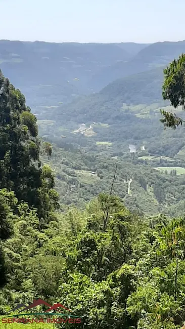 Foto 5 de Terreno / Lote à venda, 785m2 em Nova Petropolis - RS