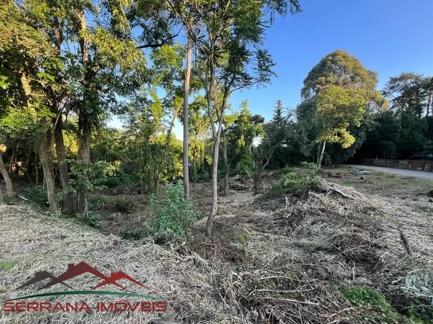 Terreno / Lote à venda, 2604m2 em Nova Petropolis - RS - imagem 5 Foto 5 de Terreno / Lote à venda, 2604m2 em Nova Petropolis - RS
