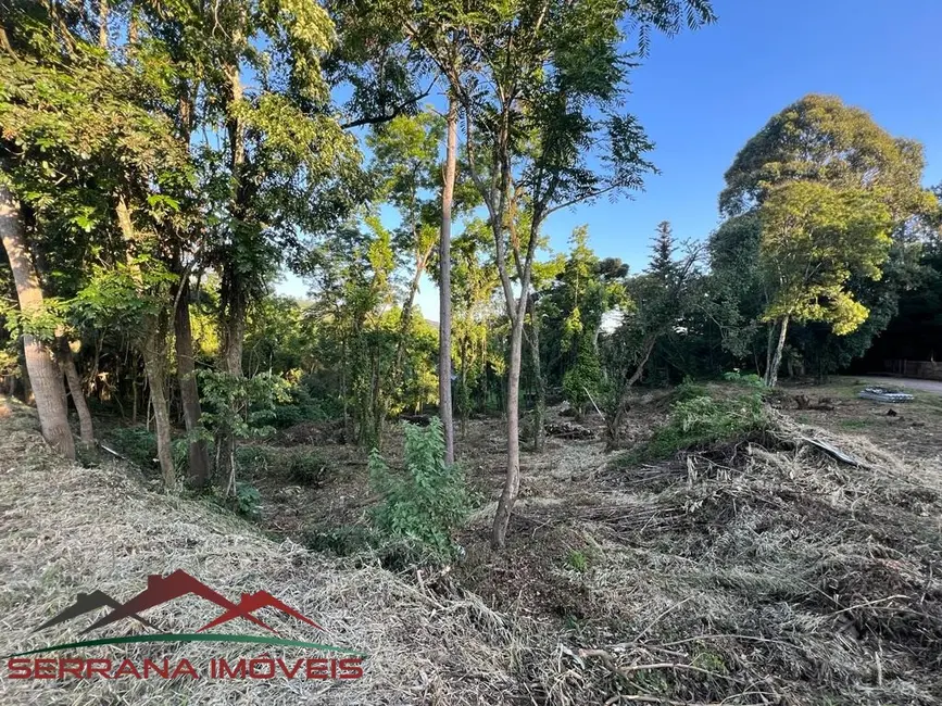 Terreno / Lote à venda, 2604m2 em Nova Petropolis - RS - imagem 7 Foto 7 de Terreno / Lote à venda, 2604m2 em Nova Petropolis - RS