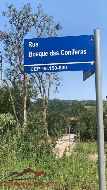 Terreno / Lote à venda, 444m2 em Nova Petropolis - RS - imagem 6 Foto 6 de Terreno / Lote à venda, 444m2 em Nova Petropolis - RS
