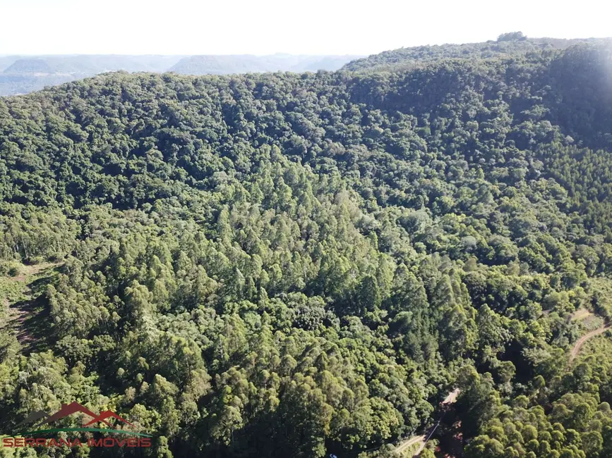 Foto 2 de Terreno / Lote à venda, 300000m2 em Nova Petropolis - RS