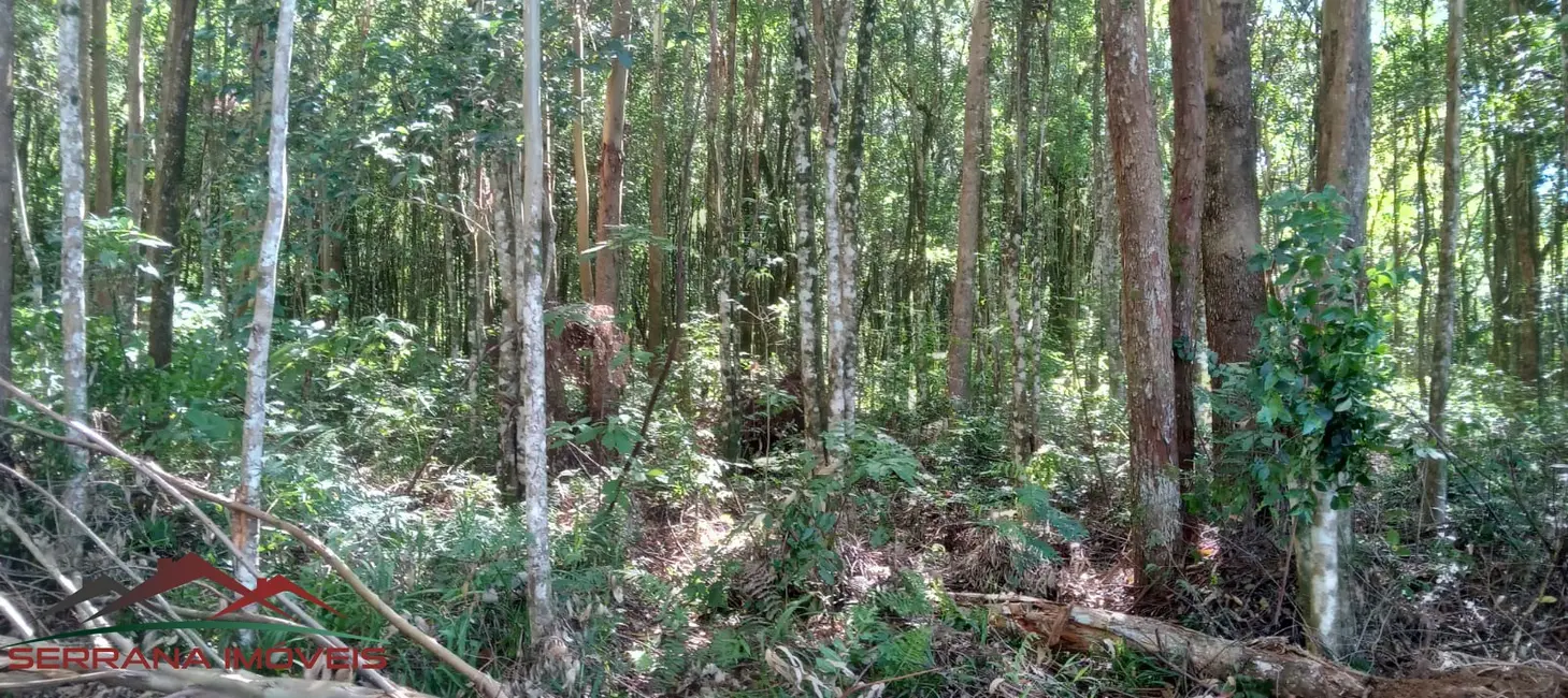 Terreno / Lote à venda, 300000m2 em Nova Petropolis - RS - imagem 8 Foto 8 de Terreno / Lote à venda, 300000m2 em Nova Petropolis - RS