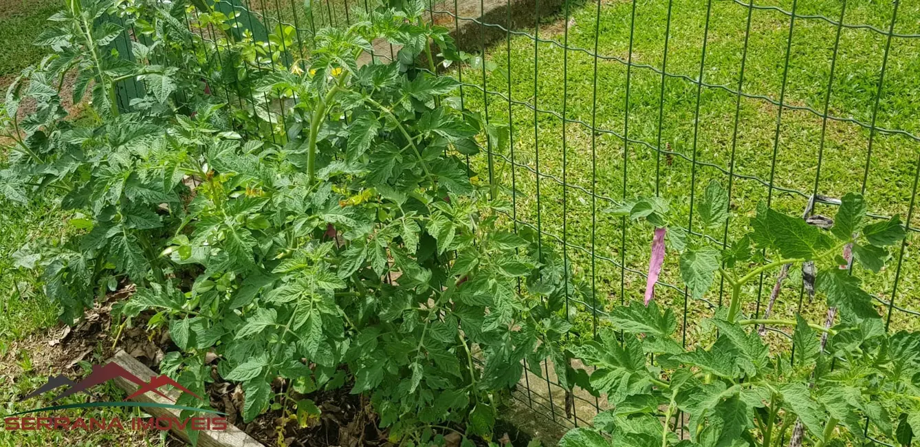 Foto 4 de Casa com 4 quartos à venda, 324m2 em Nova Petropolis - RS