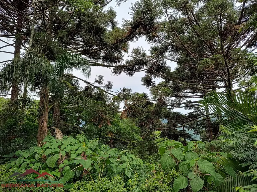 Foto 4 de Casa com 3 quartos à venda, 120m2 em Nova Petropolis - RS