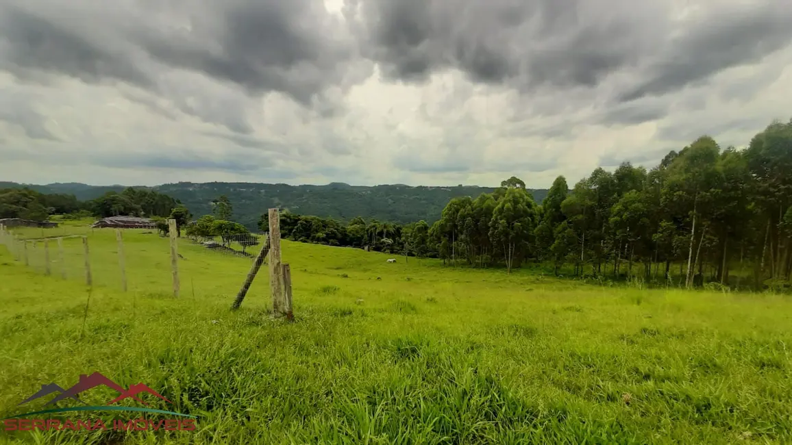 Terreno / Lote à venda, 30000m2 em Nova Petropolis - RS - imagem 8 Foto 8 de Terreno / Lote à venda, 30000m2 em Nova Petropolis - RS