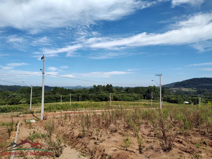 Foto 2 de Terreno / Lote à venda, 376m2 em Nova Petropolis - RS