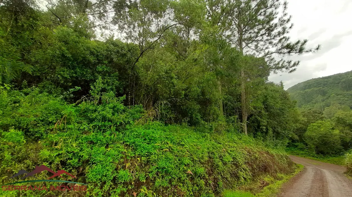 Terreno / Lote à venda, 35000m2 em Nova Petropolis - RS - imagem 8 Foto 8 de Terreno / Lote à venda, 35000m2 em Nova Petropolis - RS